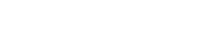 North Carolina SEO Company